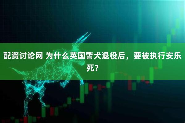 配资讨论网 为什么英国警犬退役后，要被执行安乐死？