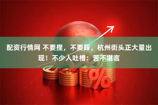 配资行情网 不要捏，不要踩，杭州街头正大量出现！不少人吐槽：苦不堪言