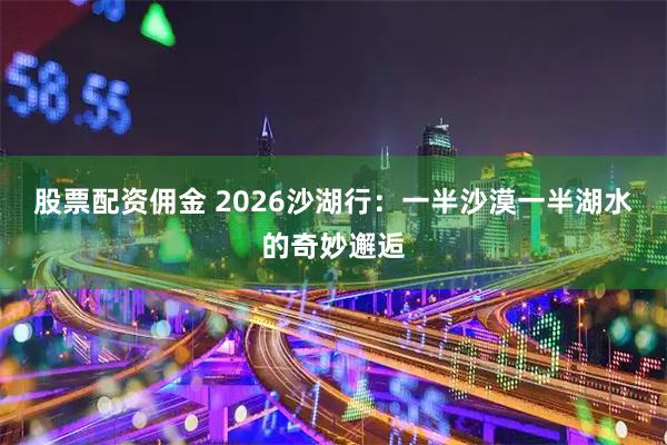 股票配资佣金 2026沙湖行：一半沙漠一半湖水的奇妙邂逅