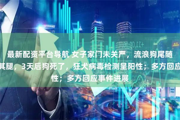 最新配资平台导航 女子家门未关严，流浪狗尾随入室咬伤其腿，3天后狗死了，狂犬病毒检测呈阳性；多方回应事件进展